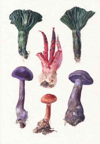 Oeuvre artiste