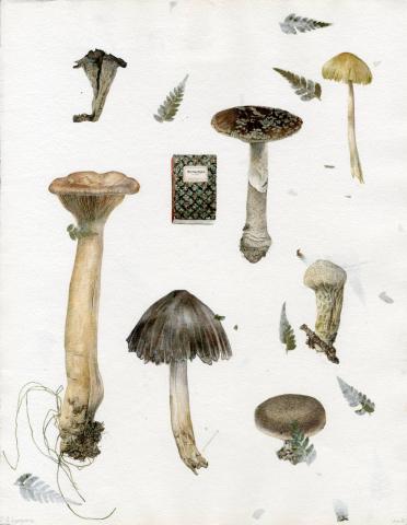 Image oeuvre